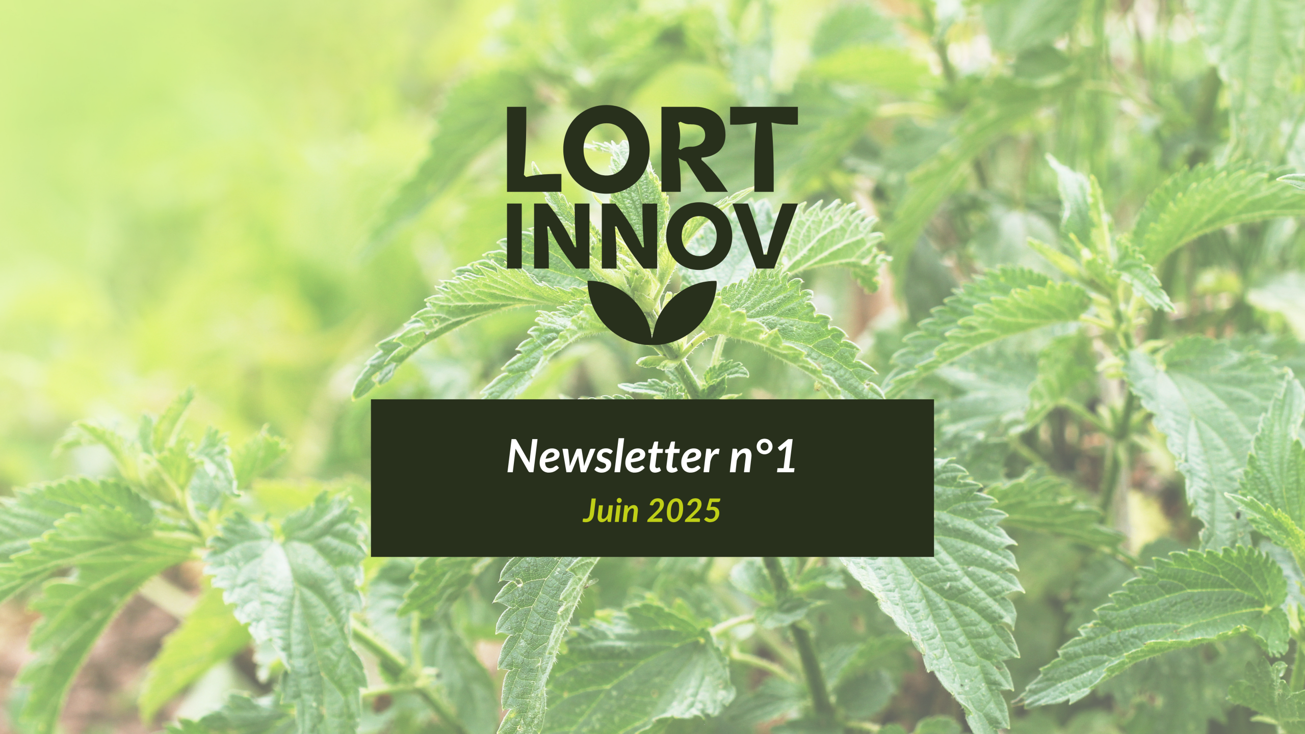 Inf’Ortie n°1 : Lancement officiel du projet Lort’Innov et premières avancées !