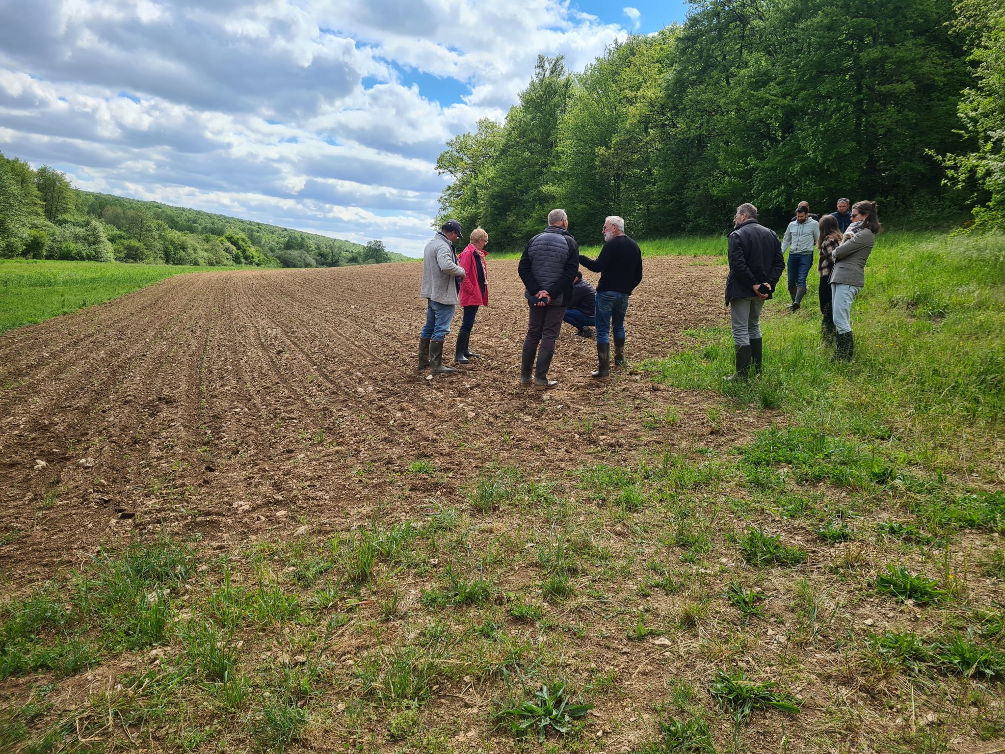 L’ortie, une ressource locale aux multiples perspectives pour le Grand Est.